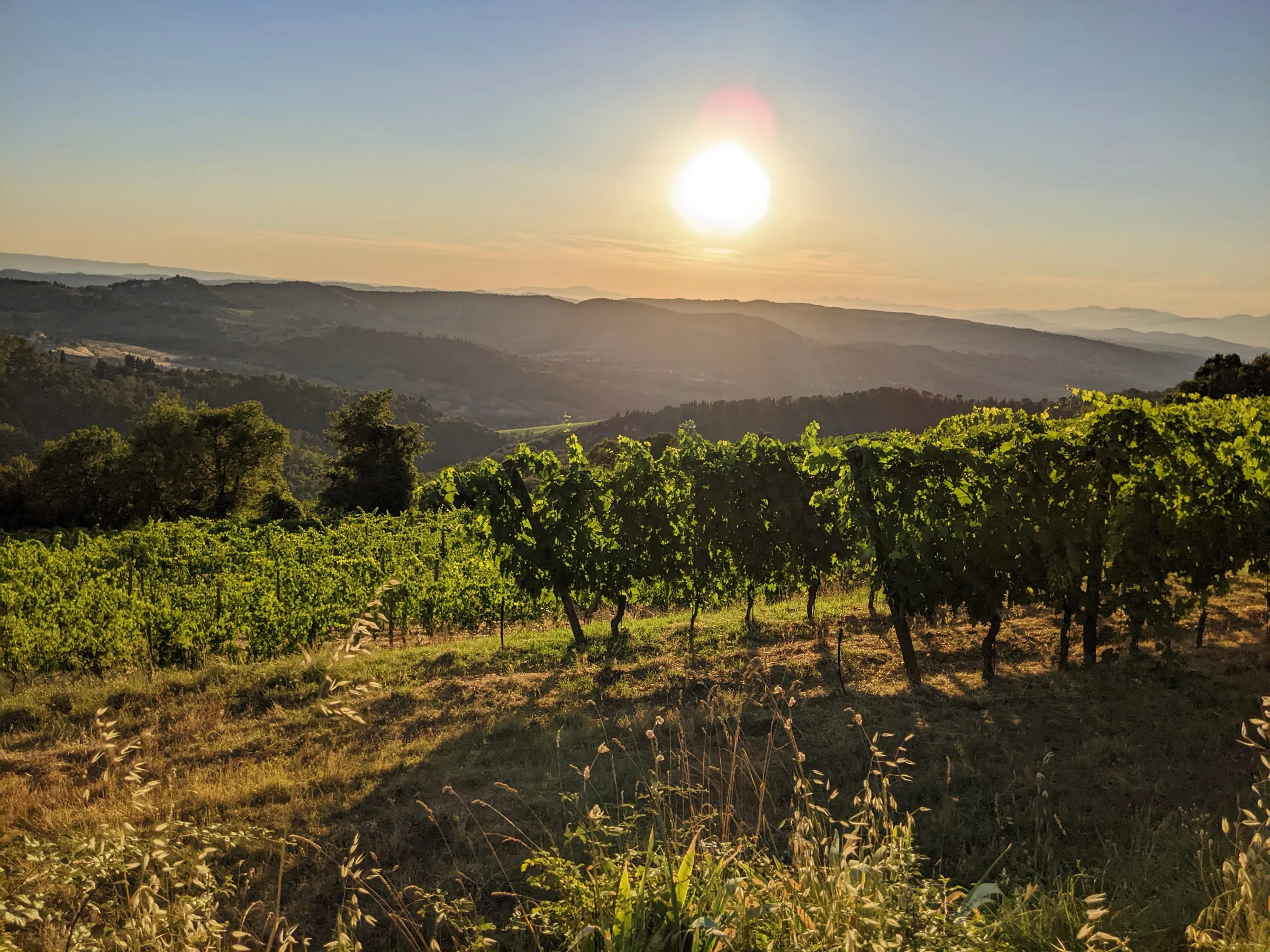 The sunset over the Chianti vineyards, Tuscany